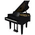ROLAND GP-9 PE Digital Grand Piano Black Polished