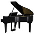 ROLAND GP-9M-PE Digital Grand Piano Noir Poli