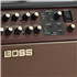 BOSS Acoustic Singer Pro 120W / Bi-Amp Design
