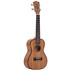 CASCHA HH 2033 ukulele concert Premium