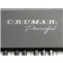 CRUMAR Parsifal Stage Piano