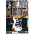 FENDER Custom Shop Dual-Mag II Stratocaster Olympic White o. 3CS