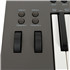 NEKTAR LX49+ Impact clavier USB MIDI