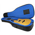 REUNION Blues Voyager Dreadnought Guitar Case