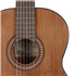 SALVADOR Cortez CC-21 classical guitar B-stock