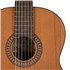 SALVADOR Cortez CC-22 classical guitar B-stock