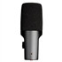 SE Electronics DCM6 DynaCaster Studio Microphone