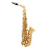 SML Paris A300 Saxophone