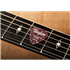 TAYLOR Premium 351 Thermex Ultra Guitar Picks Ruby Swirl 6 Pack 1.25mm
