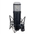 UNIVERSAL Audio Sphere DLX Microphone Modelling System
