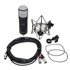 UNIVERSAL Audio Sphere DLX Modeling Microphone