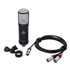 UNIVERSAL Audio Sphere LX Microphone Modelling System