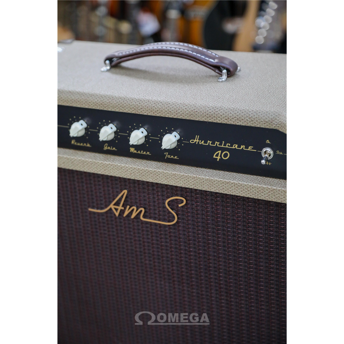 AMS Amplifiers Hurricane 40 Combo Stingray