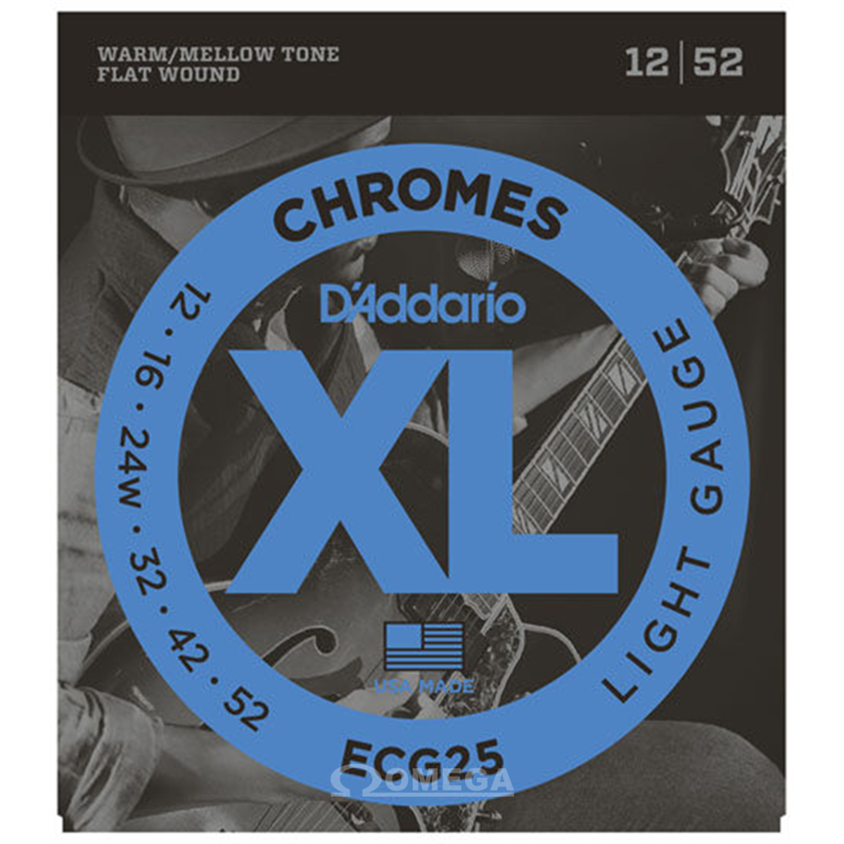 D ADDARIO ECG25 Chrome Flatwound Stainless 12-52