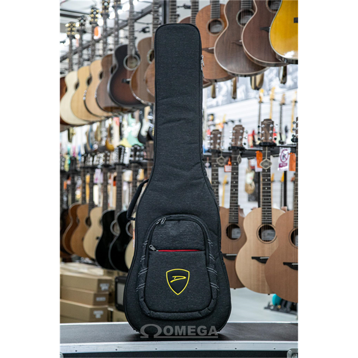 Dingwall gig bag sale