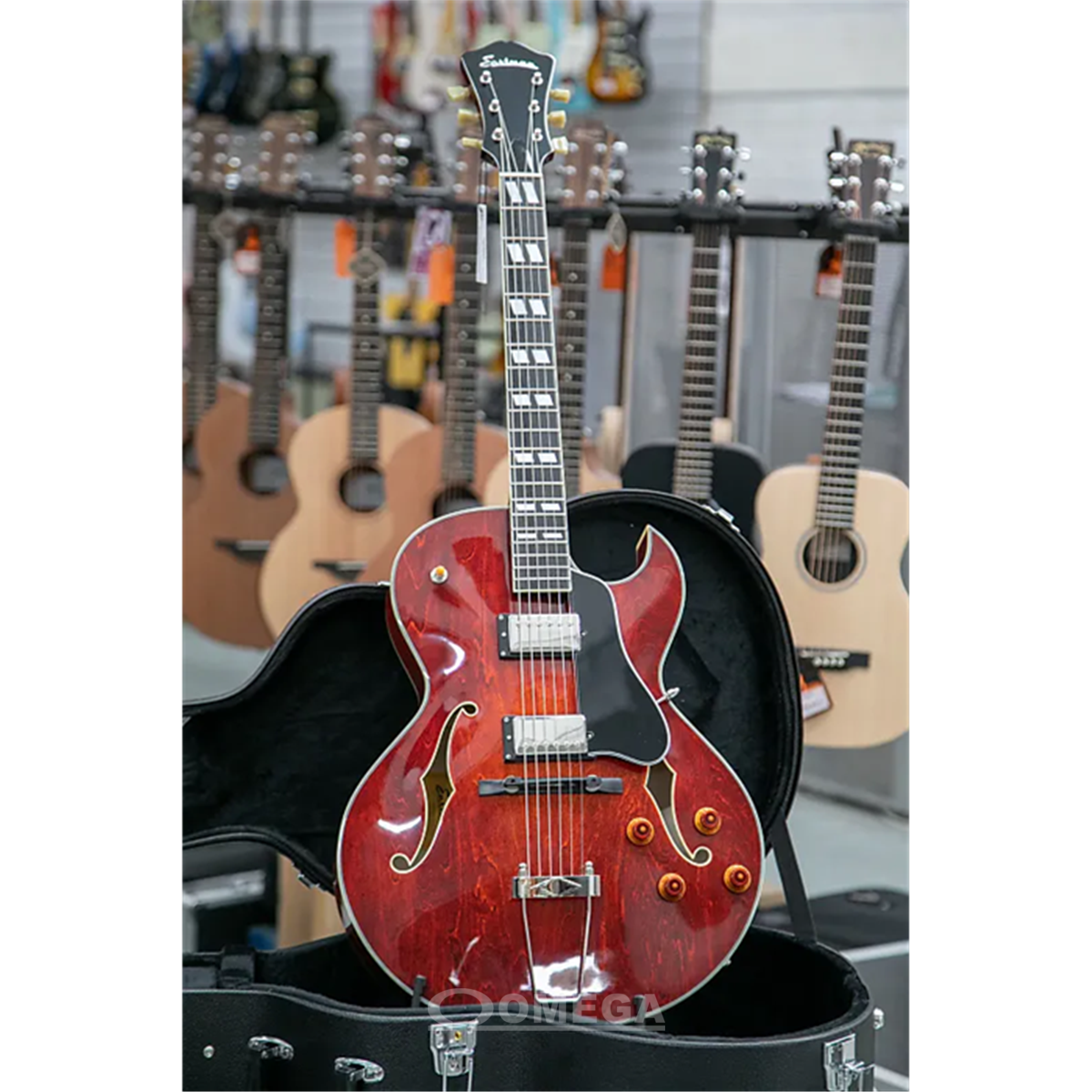 EASTMAN AR372CE Electric Archtop Guitar