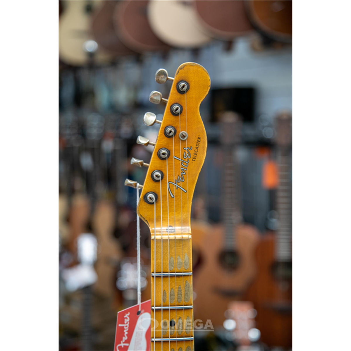 Omega Music | FENDER 1951 Nocaster Super Heavy Relic Limited Edition Omega Music | FENDER 1951 Nocaster Super Heavy Relic Limited Edition