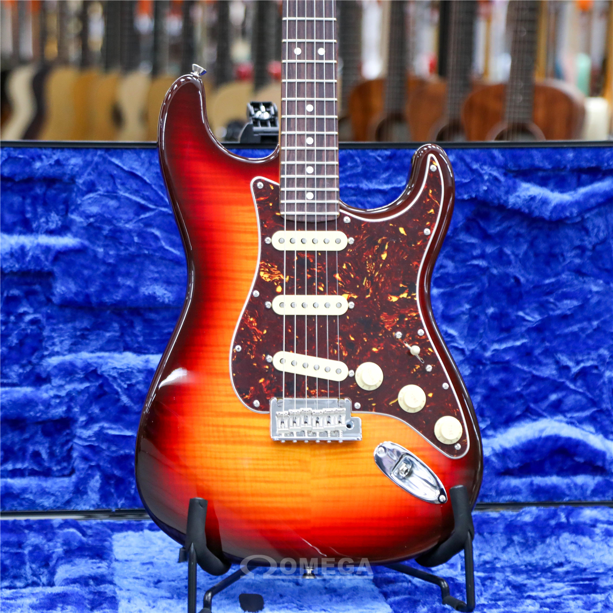 RIF 1016 Fender Stratocaster Strat Plus Made In USA 1996 50th - Foto 11