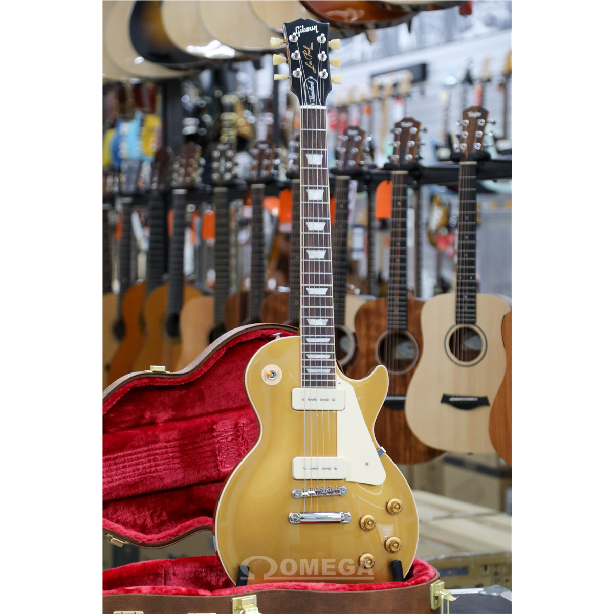 Omega Music GIBSON Les Paul Standard 50s P90 Gold Top