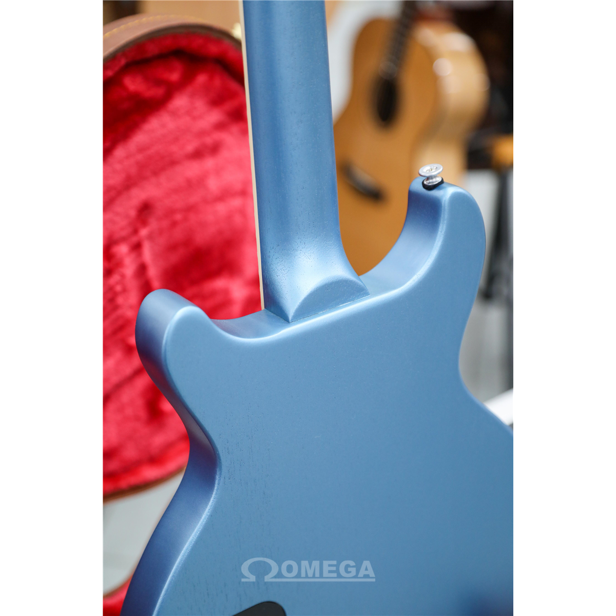 Basse Électrique en Bois Bleu Guitare Basse avec Accessoires Sac