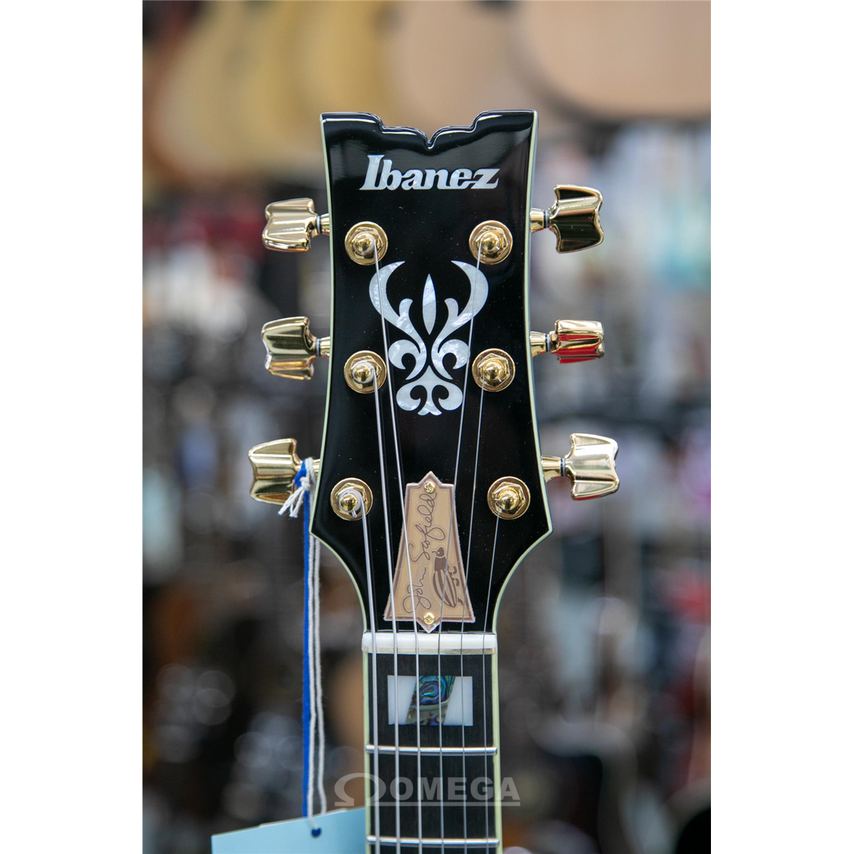 IBANEZ JSM20THBK John Scofield Signature 20th anniversary