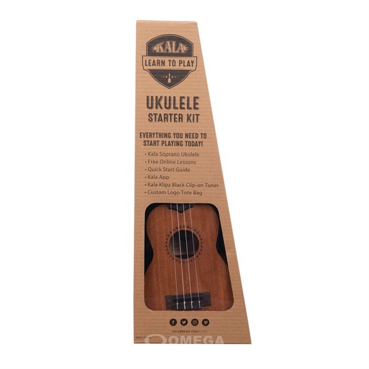 Learn to play ukulele kit deals