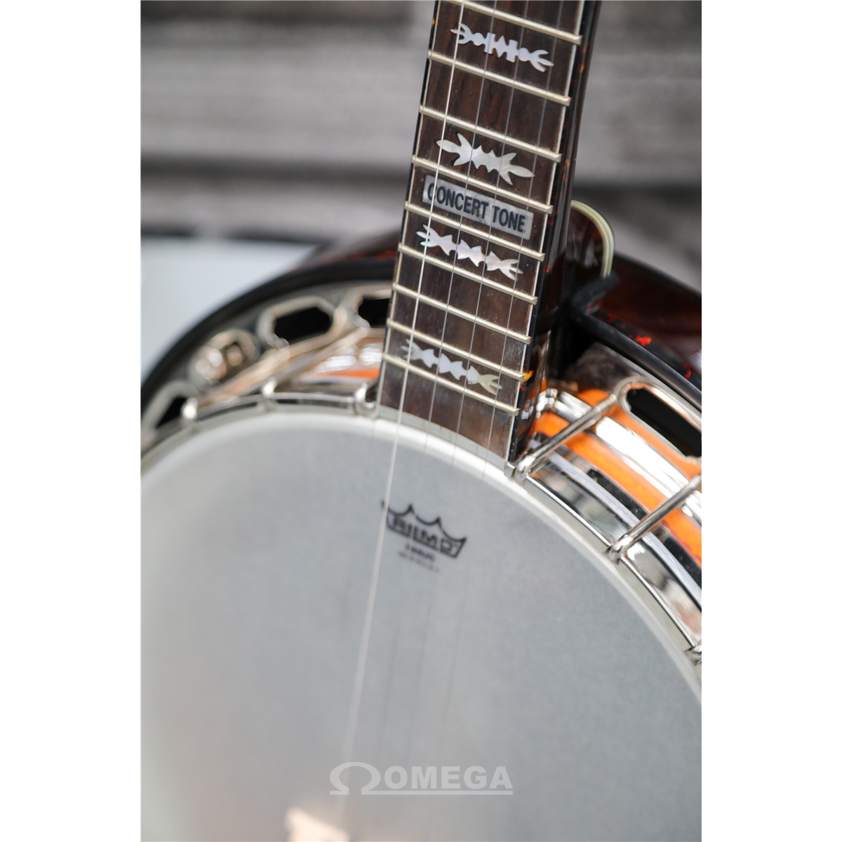 OCCASION FENDER Concert Tone 58 Banjo FlightCase