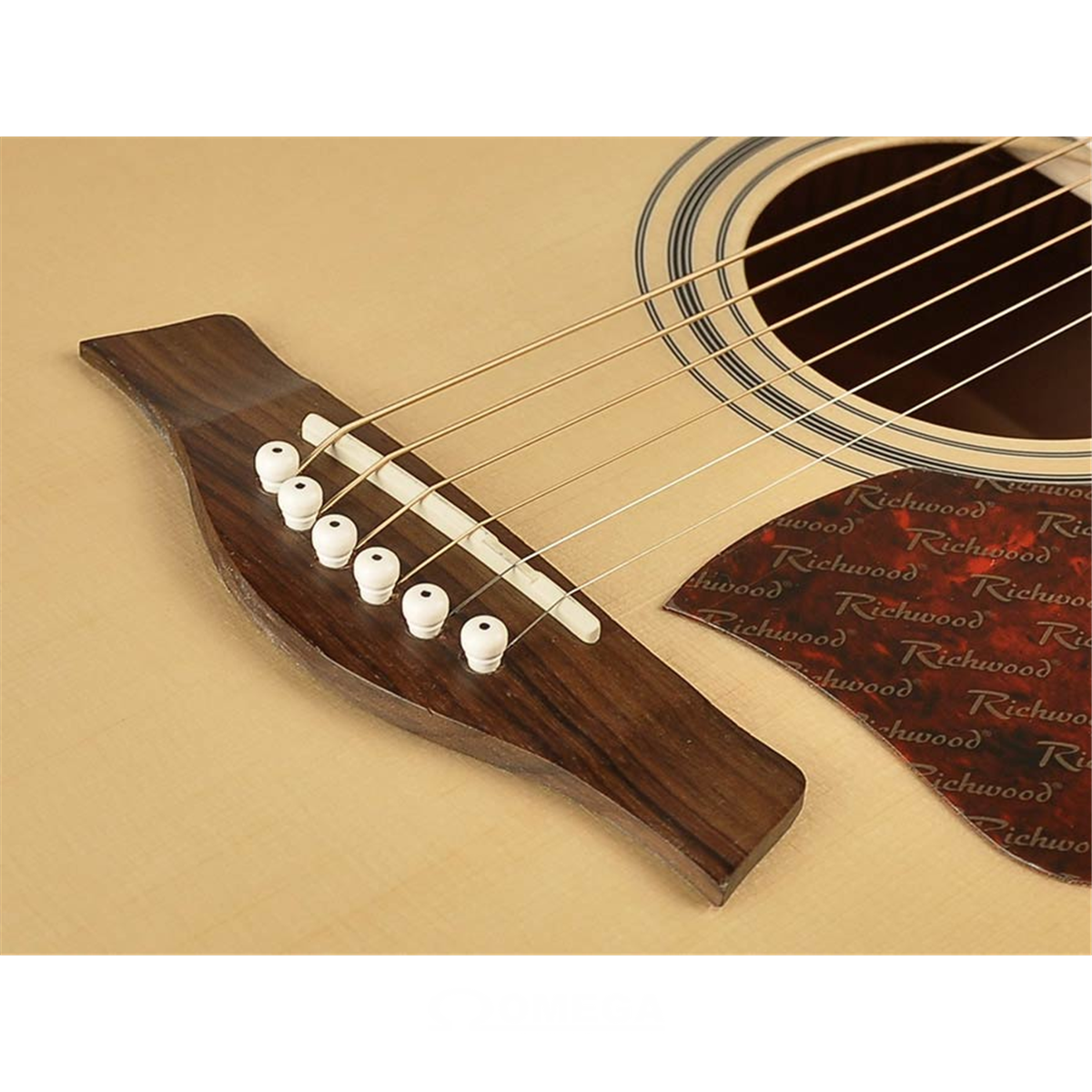 broeden Wijde selectie Vakantie Omega Music | RICHWOOD RD-17 Artist Series acoustic guitar