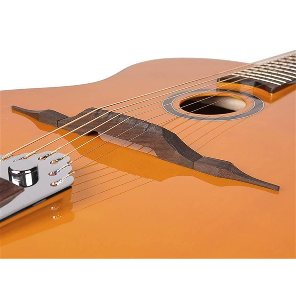 Richwood gypsy online guitar