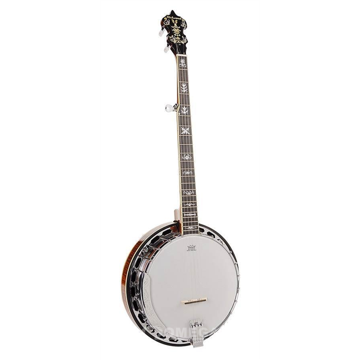 Richwood banjo sales