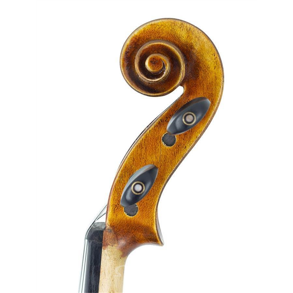 Sacho Rudolph Model Omega Music | RUDOLPH RV-844 Étude violon 4/4 Stradivari model