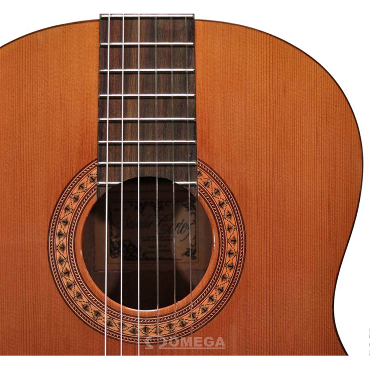 Omega Music  SALVADOR CORTEZ CC-22-JR - Guitare 3/4