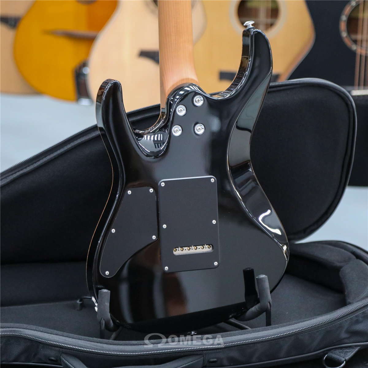 Suhr online guitar case