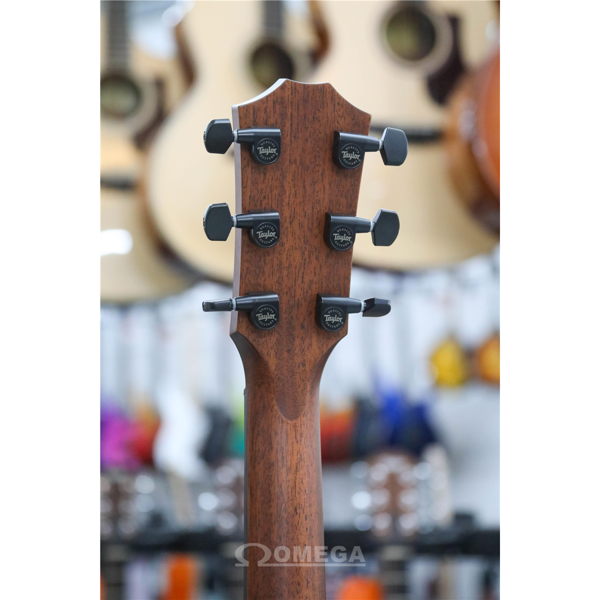 Omega Music TAYLOR 314ce Special Edition Vintage Sunburst Top