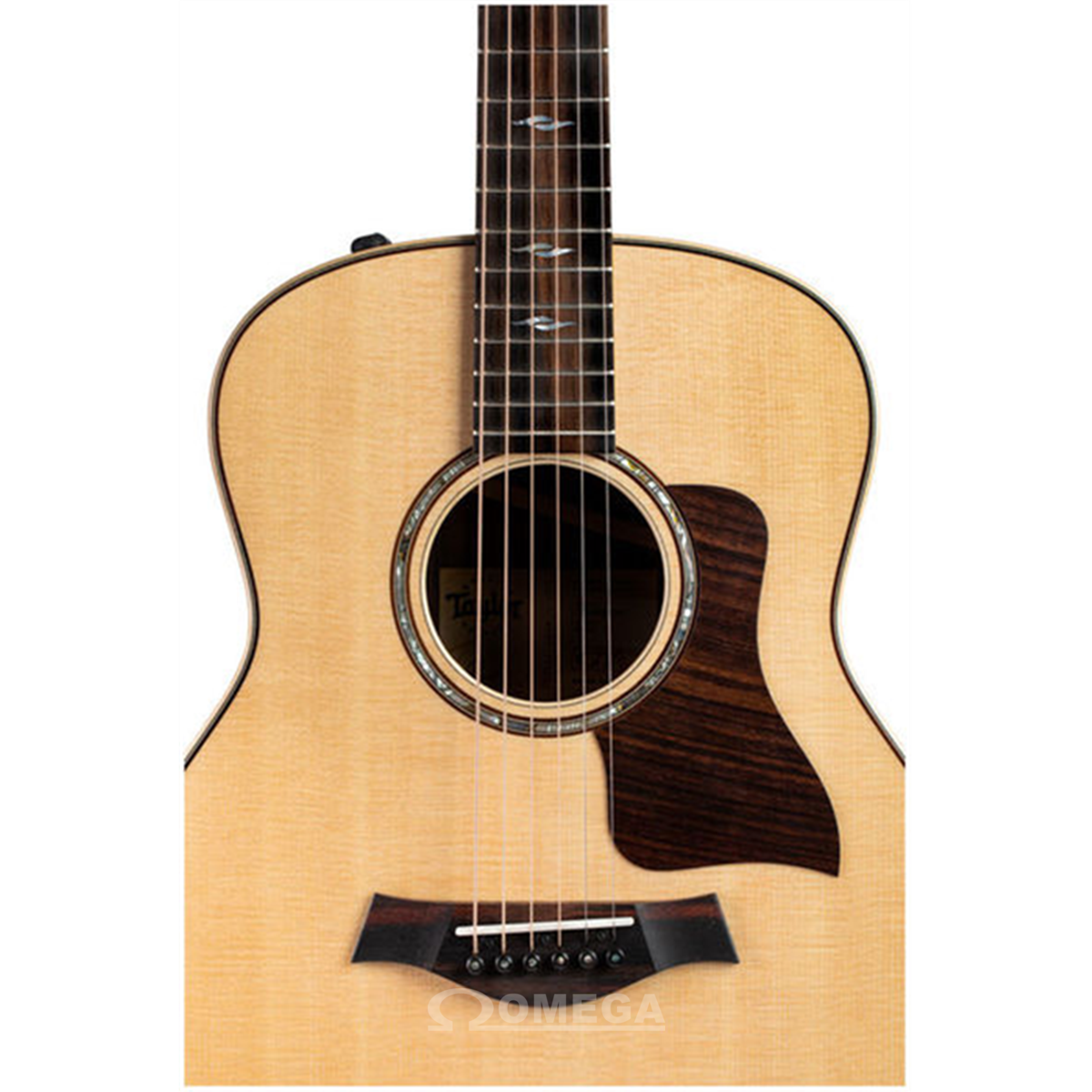 TAYLOR GT811E Grand Theater