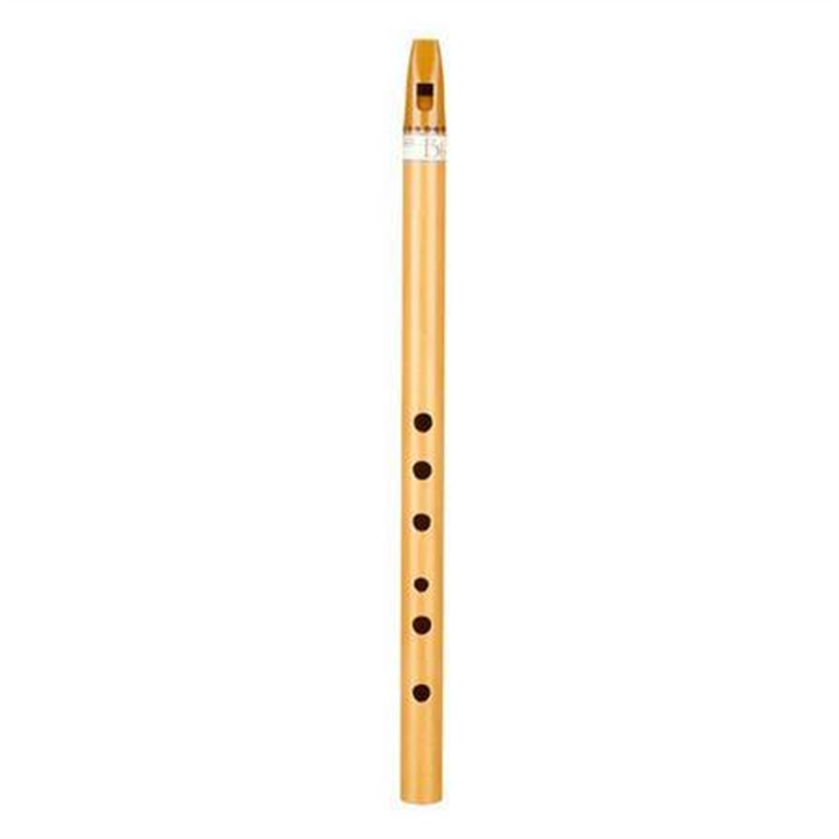 Flûte Irlandaise Tin Whistle En Ré (D) - Pour Débutants Et Experts - Avec étui - Finition Dorée